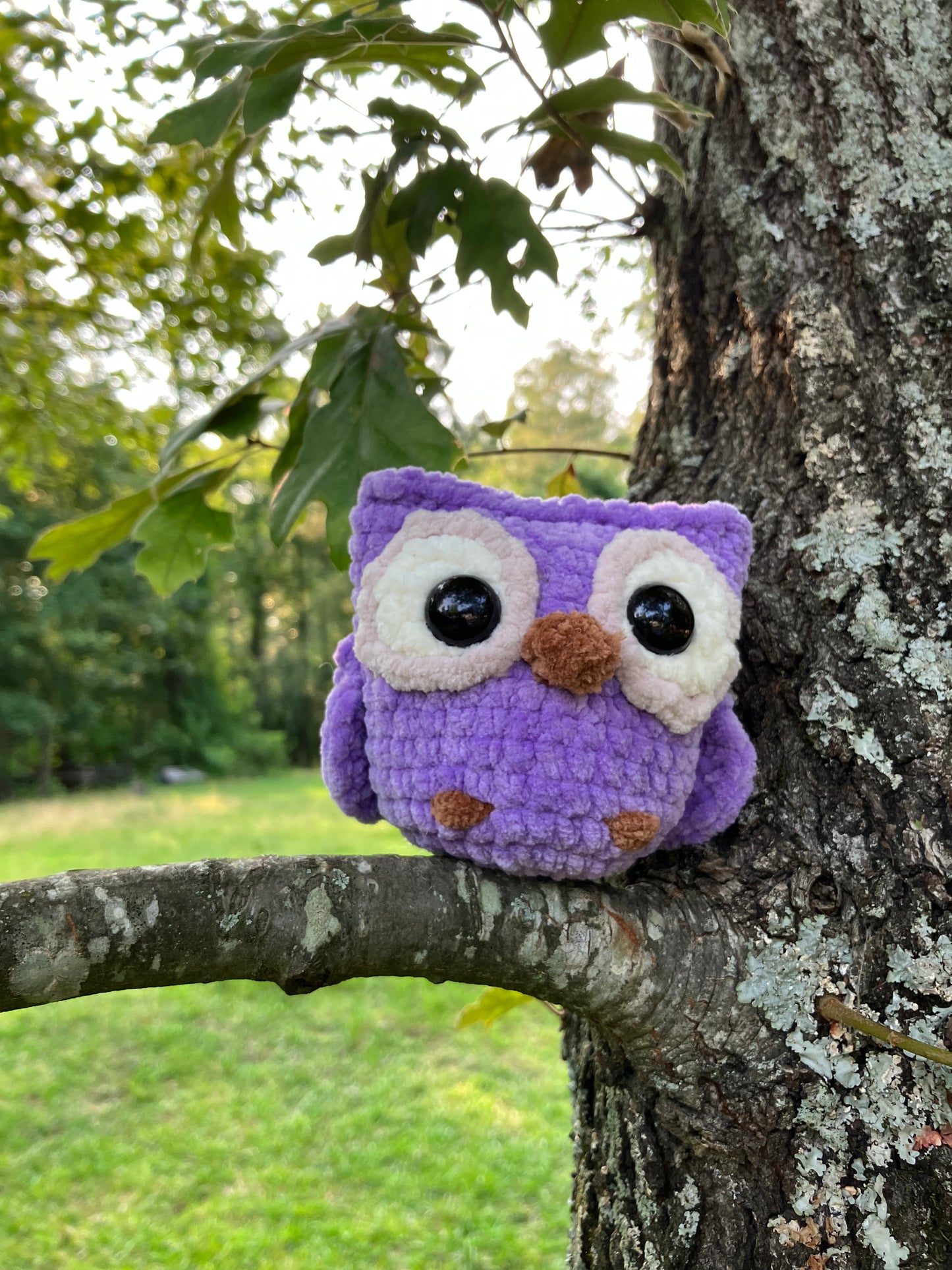 Owl