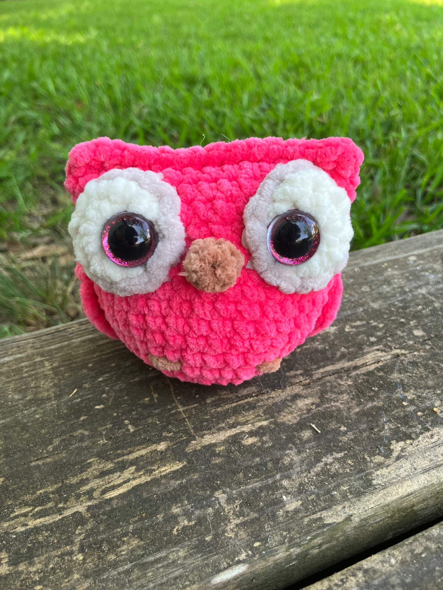 Owl