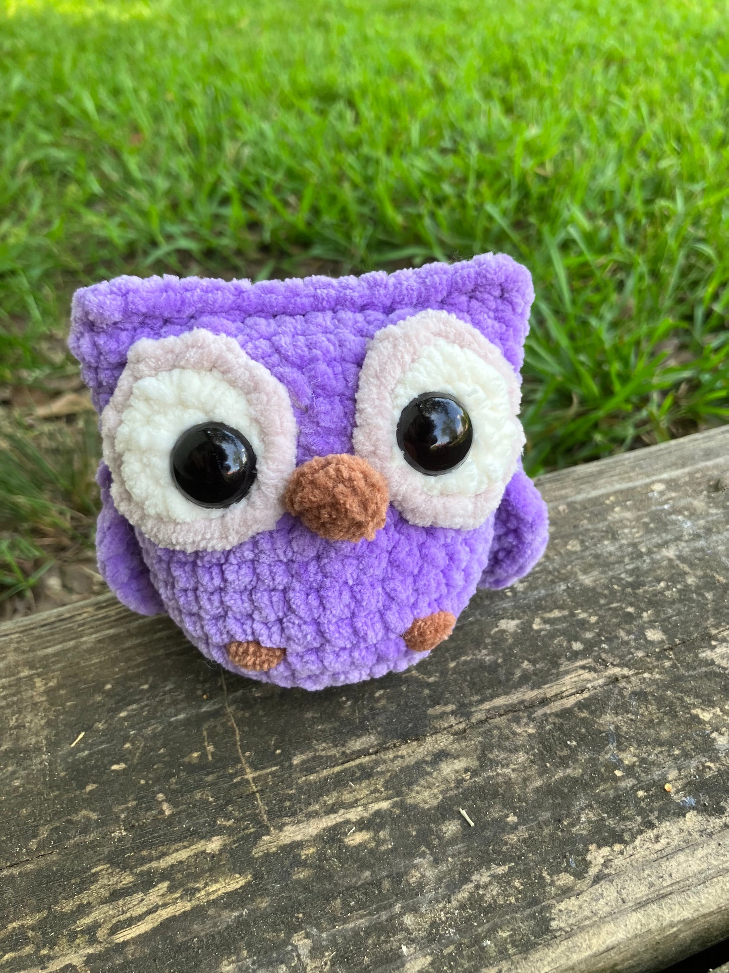 Owl
